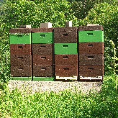 Stand Bitsch-2 400-40002