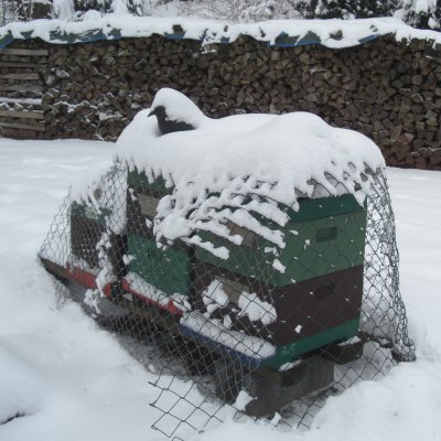 Winterstand02